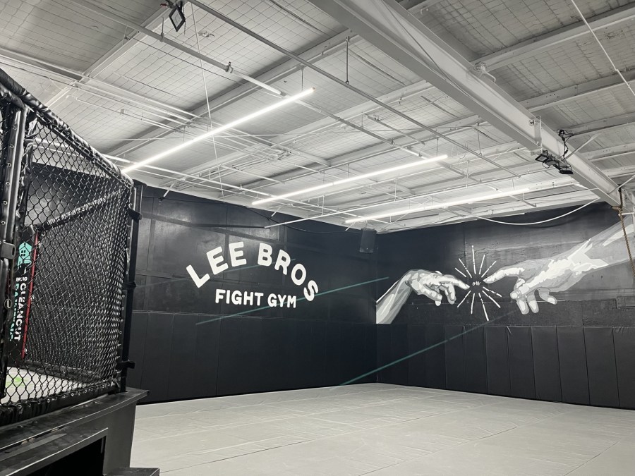 Lee Brothers MMA Gym