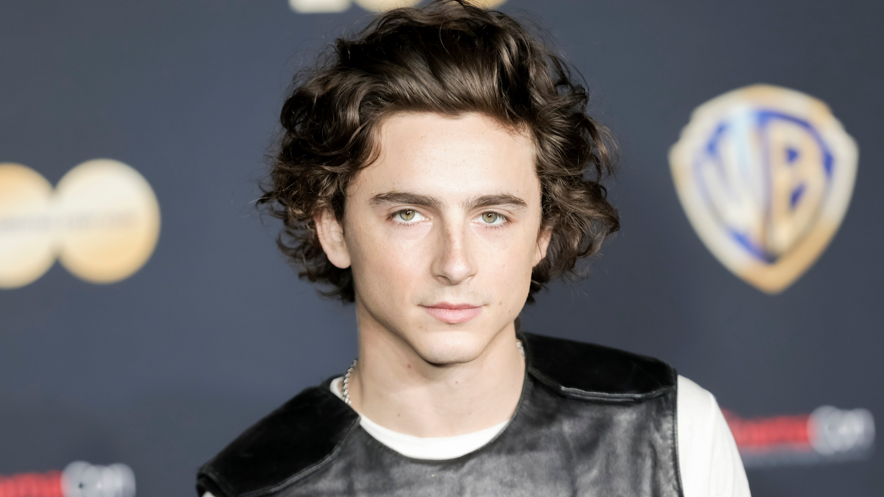 LAS VEGAS, NEVADA - APRIL 25: Timothee Chalamet attends the red carpet promoting the upcoming movie Dune: Part Two at the Warner Bros.  Pictures Studio presentation during CinemaCon, the official meeting of the National Association of Theater Owners, at the Colosseum in Caesars Palace.  on April 25, 2023 in Las Vegas, Nevada.  (Photo by Greg Doherty/WireImage)